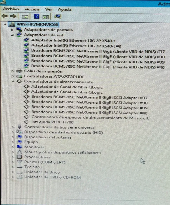 Servidor Dell R810